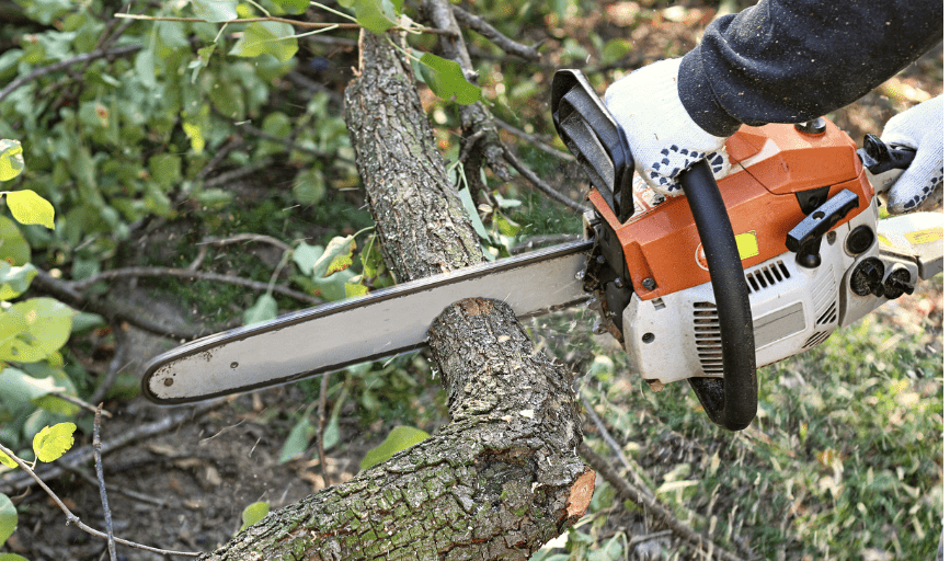 B & B Tree Service Landscaping & Pressure Washing