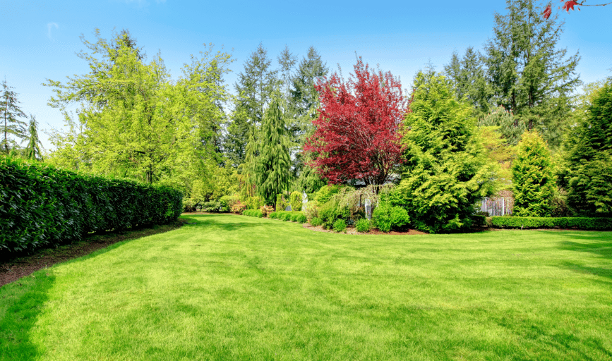 B & B Tree Service Landscaping & Pressure Washing